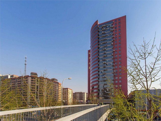 东莞珍珠牙粉加工定制